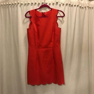 J. Crew Coral Scallop Dress 6